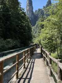 張家界4天包車遊攻略|超全必看