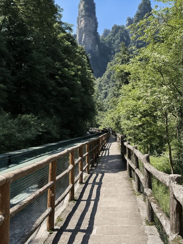 張家界4天包車遊攻略|超全必看 張家界4天包車遊攻略|超全必看