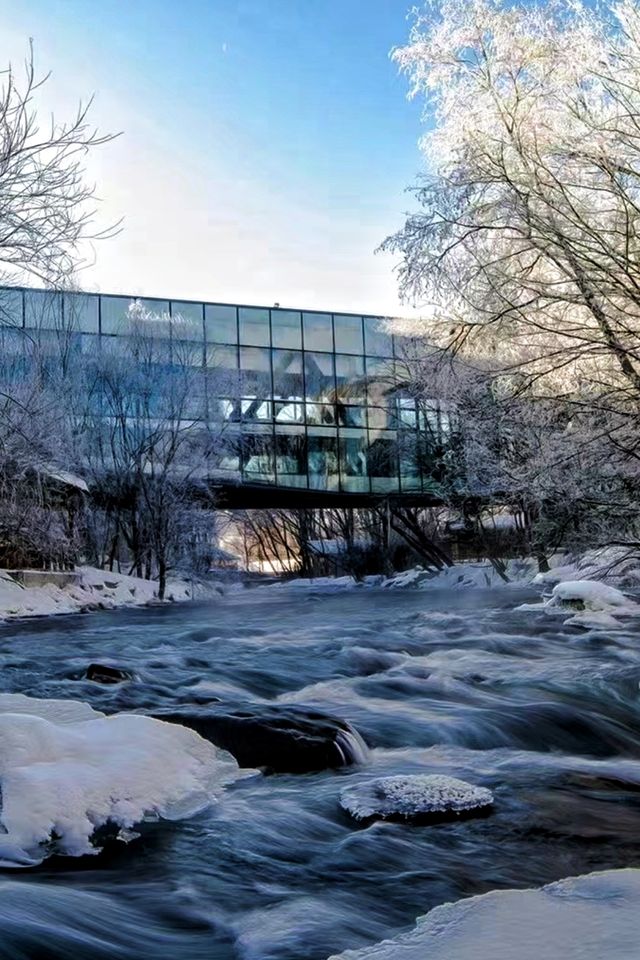 住進長白山鹿苑裡!睡醒就被小鹿包圍,冬季限定浪漫! 住進長白山鹿苑裡!睡醒就被小鹿包圍,冬季限定浪漫!