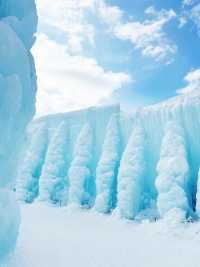 北海道冬季自由行｜中文包車太香了