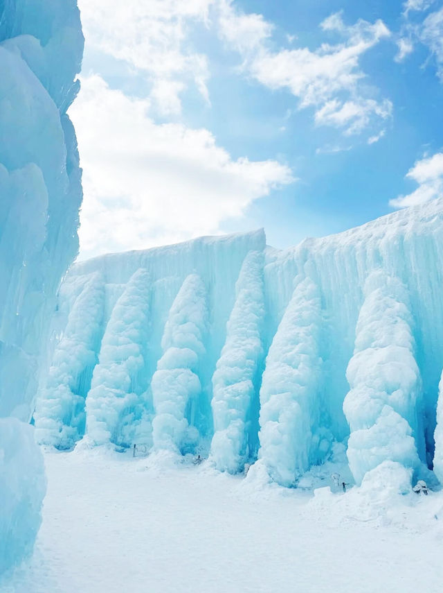 北海道冬季自由行｜中文包車太香了