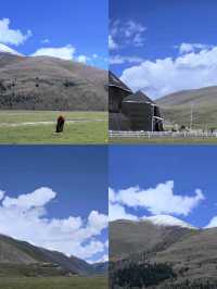 塔公草原藏於川西的「風蕭草低見牛羊」秘境