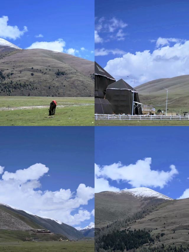 塔公草原藏於川西的「風蕭草低見牛羊」秘境