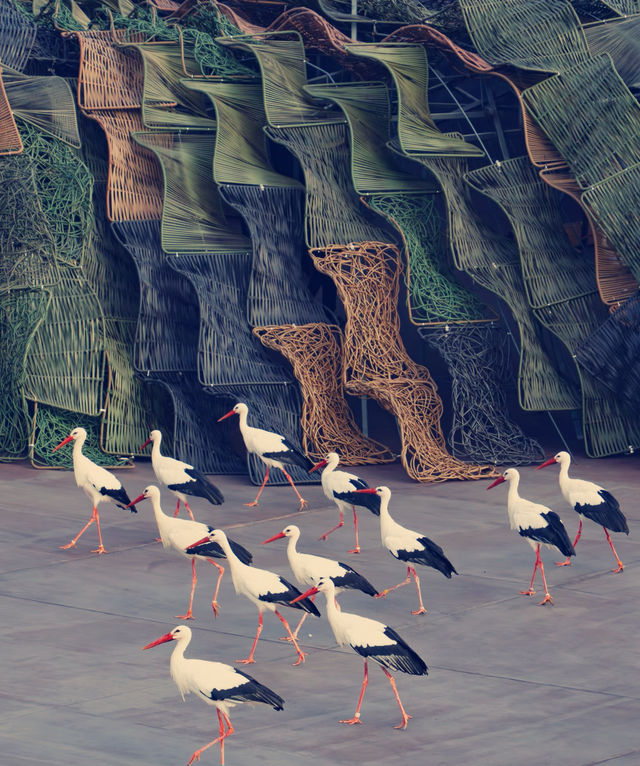 宜興慢遊記｜山水環抱間的詩意棲居，週末來場治癒系旅行  這片被太湖懷抱的小城真的戳中我的審美！竹海、