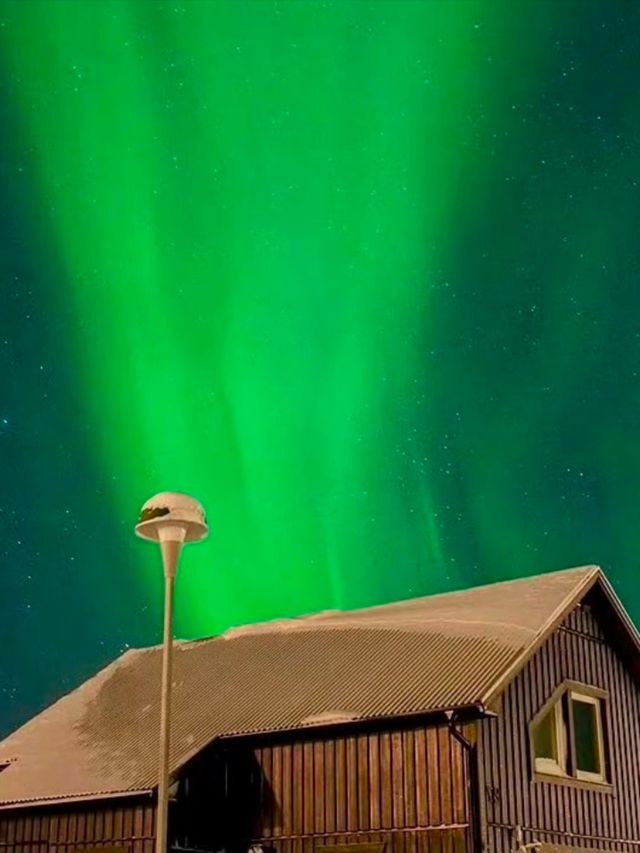 極光森林奇幻夜