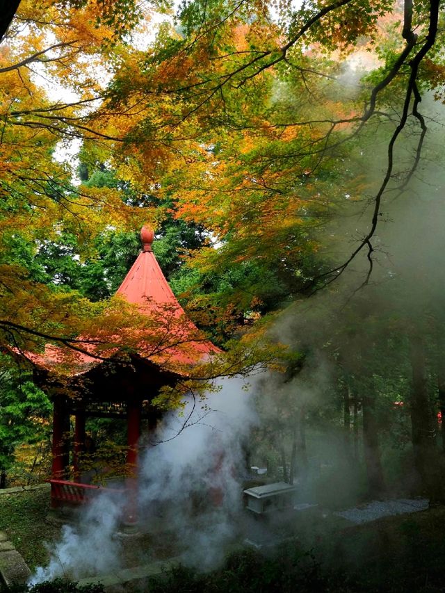 秋冬廬山雲端仙境避人海秘笈