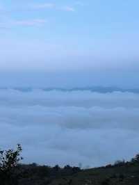 秋色森林裡的山羊牧場