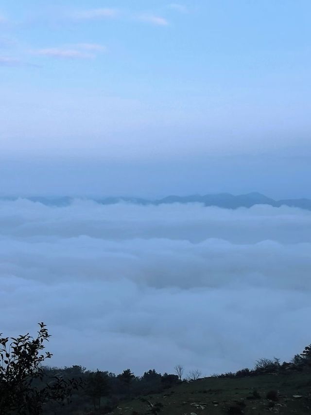 秋色森林裡的山羊牧場