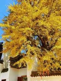 人少!景美!秋季來衡山到這才能值回票價