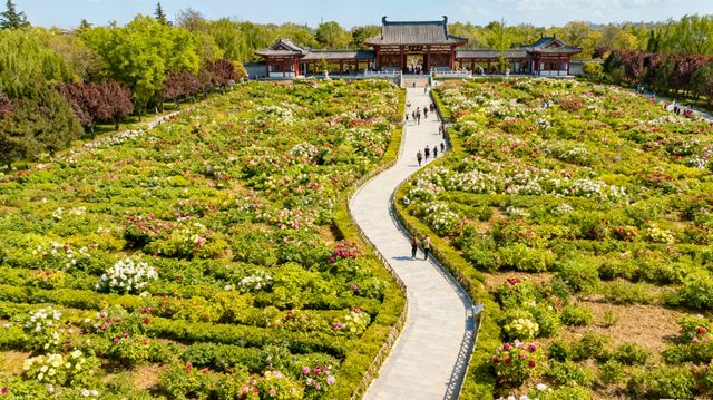 古台聽戲·園林雅韻​. 竹徑通幽·清暑閒亭