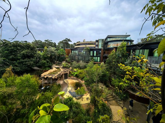 住進動物園的夜！Taronga最美棲息之旅