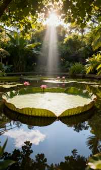 南亞風情版納韻