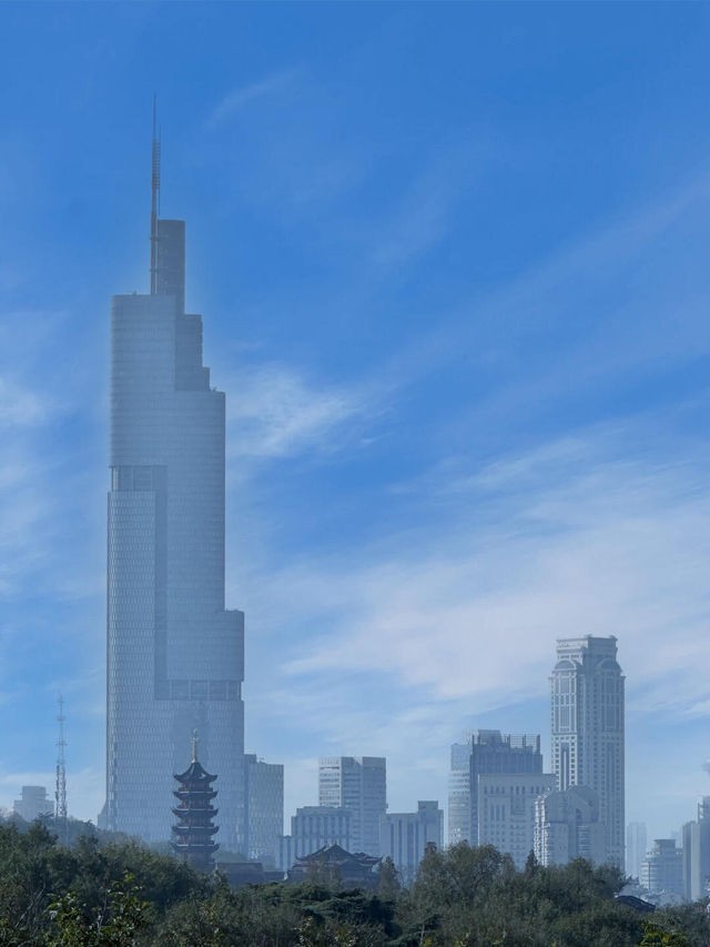 這可能是我在南京花得最值得的15塊錢…