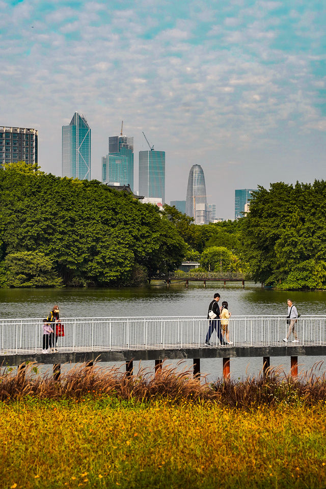 來廣州旅遊啊 來廣州旅遊啊