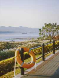 從雅格歡聚酒店出發，解鎖濱江秋日旅拍的N種浪漫