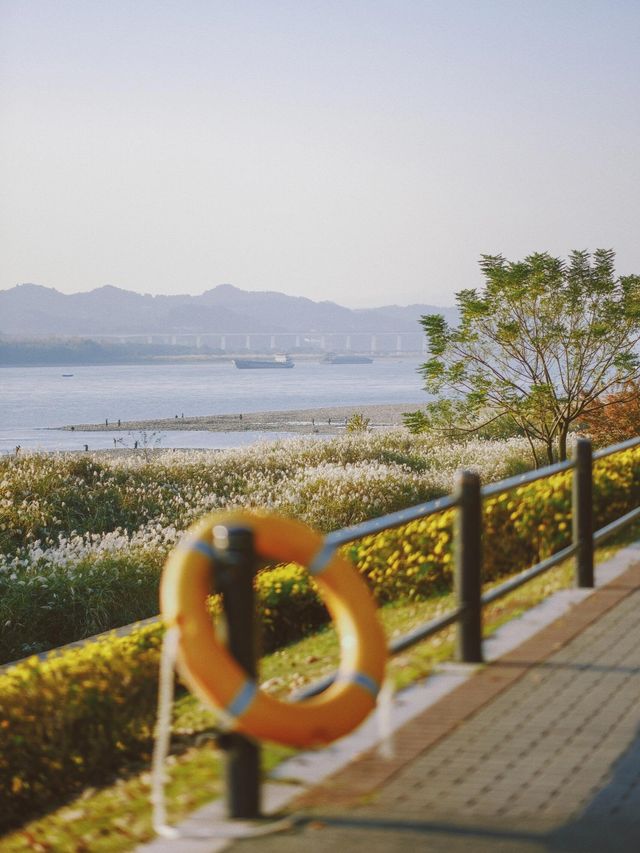 從雅格歡聚酒店出發，解鎖濱江秋日旅拍的N種浪漫