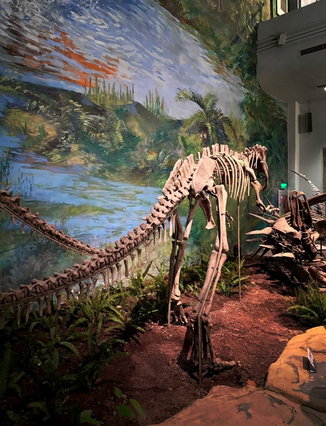 穿越兩億年的溫柔叩門聆聽時間破碎的聲音 穿越兩億年的溫柔叩門聆聽時間破碎的聲音