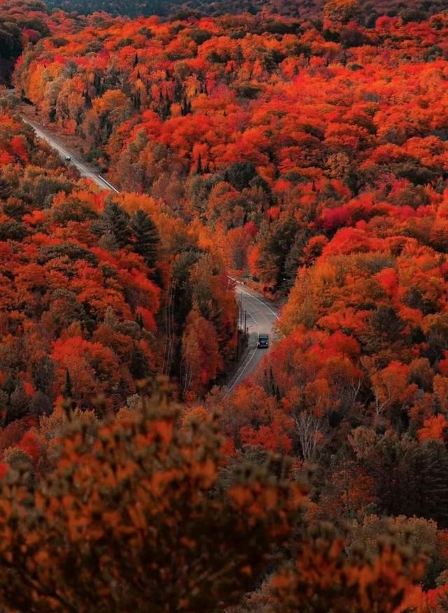 一次玩透加拿大!東西岸+無購物真香 一次玩透加拿大!東西岸+無購物真香