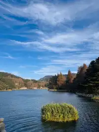 如琴湖的秋，是楓葉寫給山水的情書。