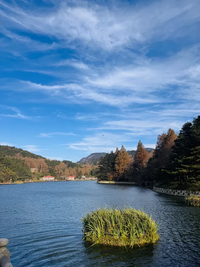 如琴湖的秋，是楓葉寫給山水的情書。