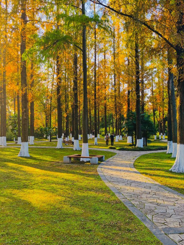 秋色滿園絕美倒映