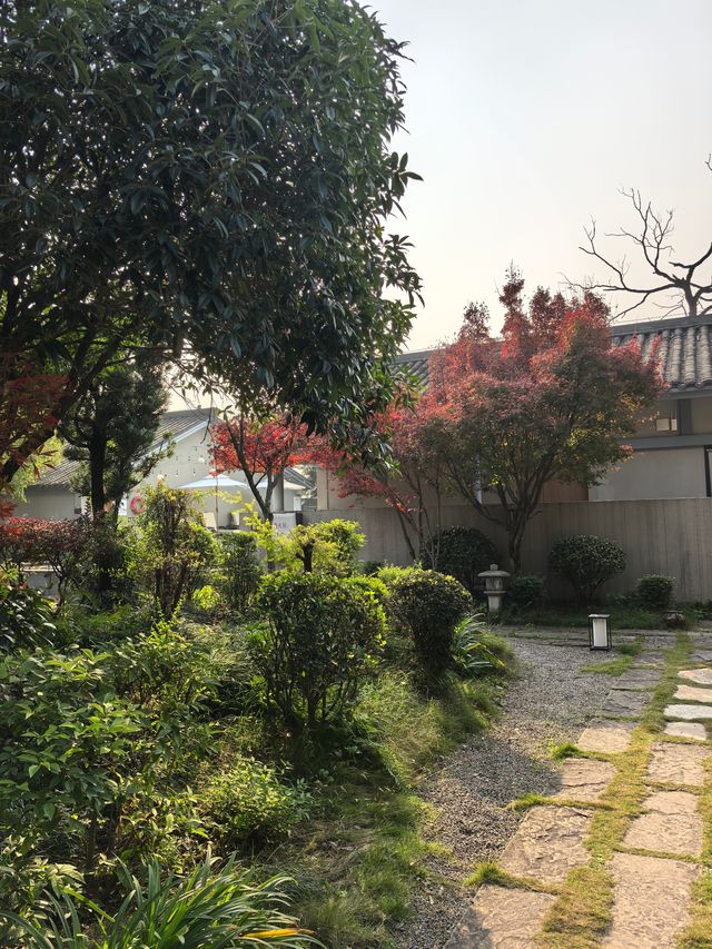 樂山旅遊必住！江景民宿直面樂山大佛