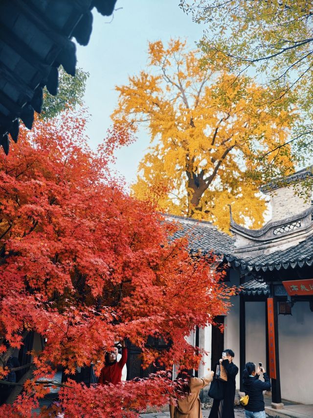 惠山古鎮免費遊玩攻略！秋日限定美景+精華路線