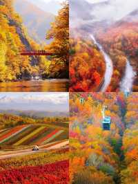 北海道定制遊秋冬天花板！懶人出遊巨省心