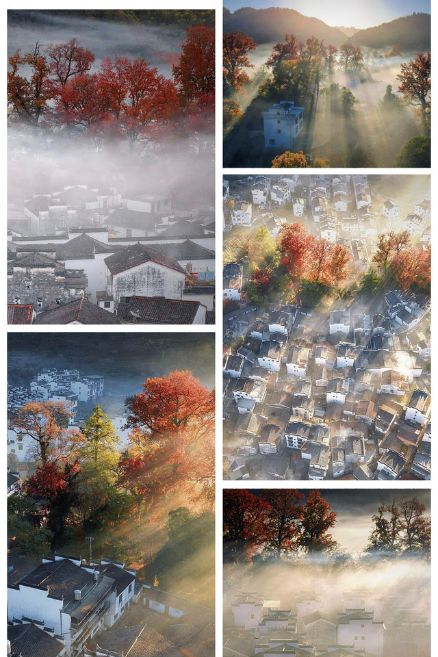 婺源石城秋日行攝全攻略｜沉浸於紅葉晨霧的水墨畫境