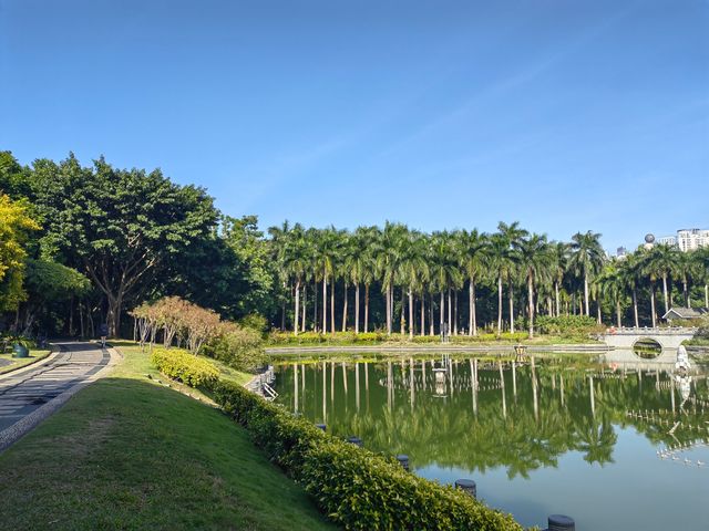 南寧南湖|闖入綠野仙蹤城市綠肺漫步指南! 必去理由 南寧人的後花園!城市中心的天然氧吧 南寧南湖|闖入綠野仙蹤城市綠肺漫步指南! 必去理由 南寧人的後花園!城市中心的天然氧吧