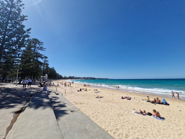 Surfing History with Scenic Views at Manley Ocean Beach Surfing History with Scenic Views at Manley Ocean Beach