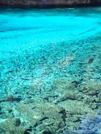 九寨初冬丨是天地緩緩展開的一幅山水留白