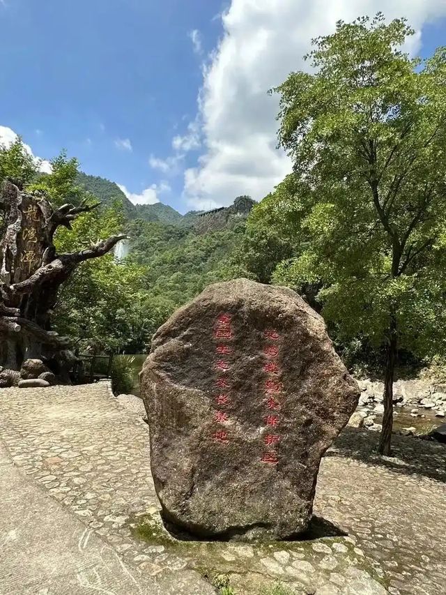 浙南秘境龍灣潭在千米懸空棧道看絕美飛瀑 浙南秘境龍灣潭在千米懸空棧道看絕美飛瀑