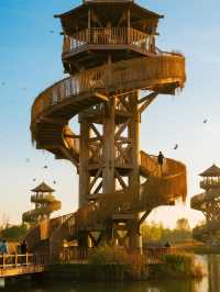 上海12月遛娃！水上森林美成油畫