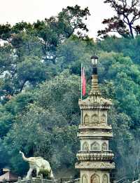 禪意之地的四季