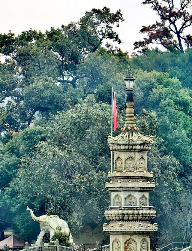 禪意之地的四季 禪意之地的四季