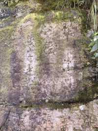 縱覽雲飛石~空中觀景台