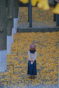 圖書館和銀杏真的絕配｜常熟