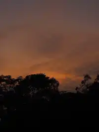 ｜抓住一個出門溜溜就好開心的濃濃