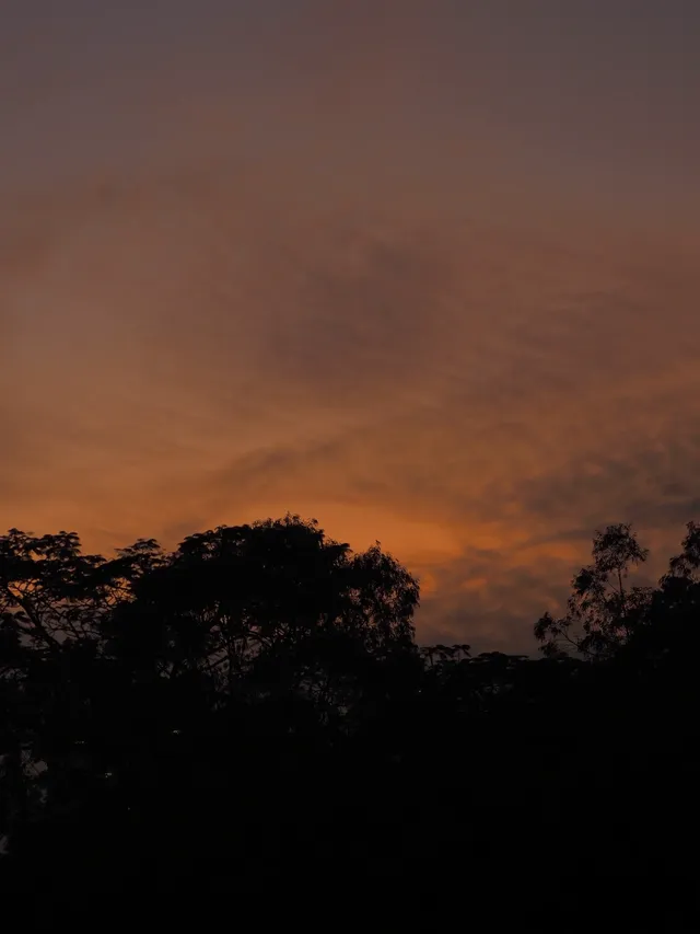 ｜抓住一個出門溜溜就好開心的濃濃