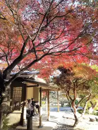 名古屋紅葉—白鳥庭園