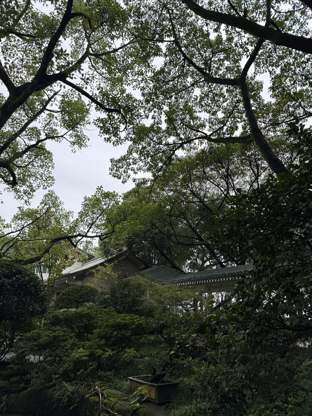 重慶散步|十一月依舊翠綠的鵝嶺公園 重慶散步|十一月依舊翠綠的鵝嶺公園