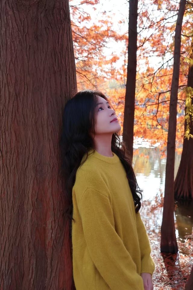 南京秋色天花板在這 南京秋色天花板在這