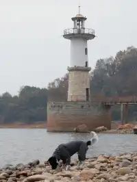 小狗和小馬一起低頭可愛鼠了！