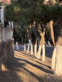 青島冬日Seawalk新路線太平角公園拍照攻略Get!