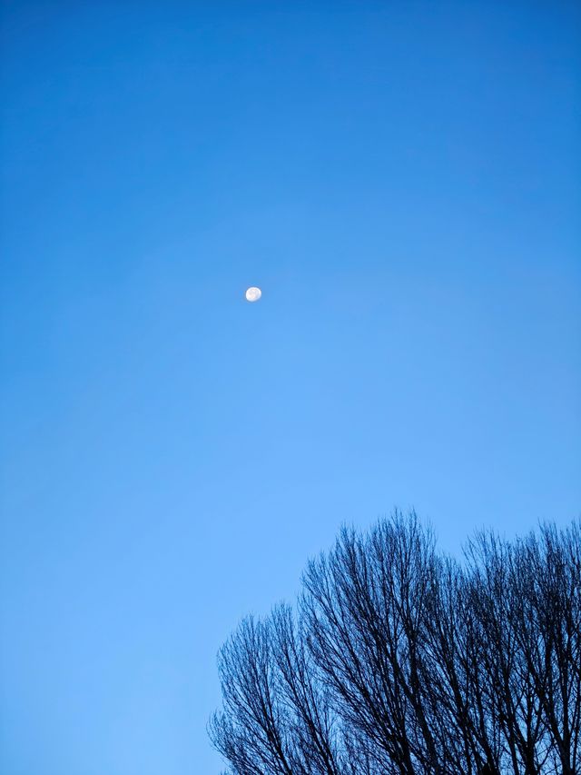 沙溪 | 走進東方水墨畫般的冬日晨霧