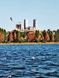 這個冬天就來大觀樓欣賞最美冬景吧