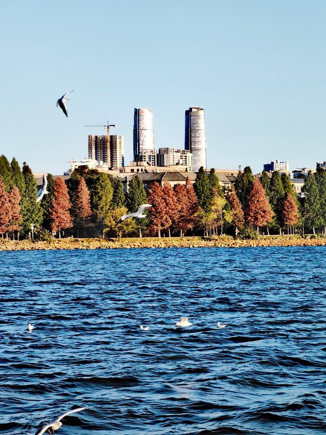 這個冬天就來大觀樓欣賞最美冬景吧