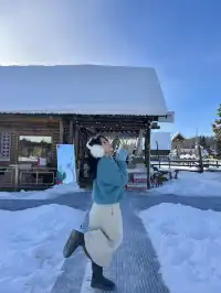 禾木小木屋反覆愛上阿勒泰的冬天