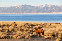 博爾塔拉｜回到賽里木湖